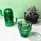ست لیوان کاکتوس